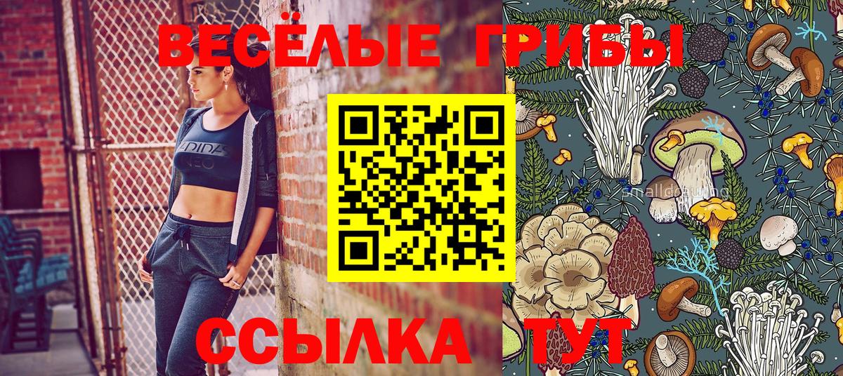 Галлюциногенные грибы GOLDEN TEACHER  закладки  Батайск  Вход с VPN 
