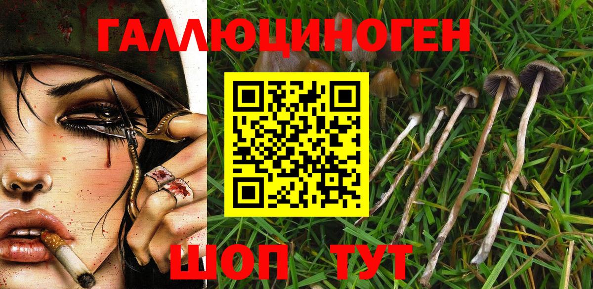 Галлюциногенные грибы прущие грибы Батайск